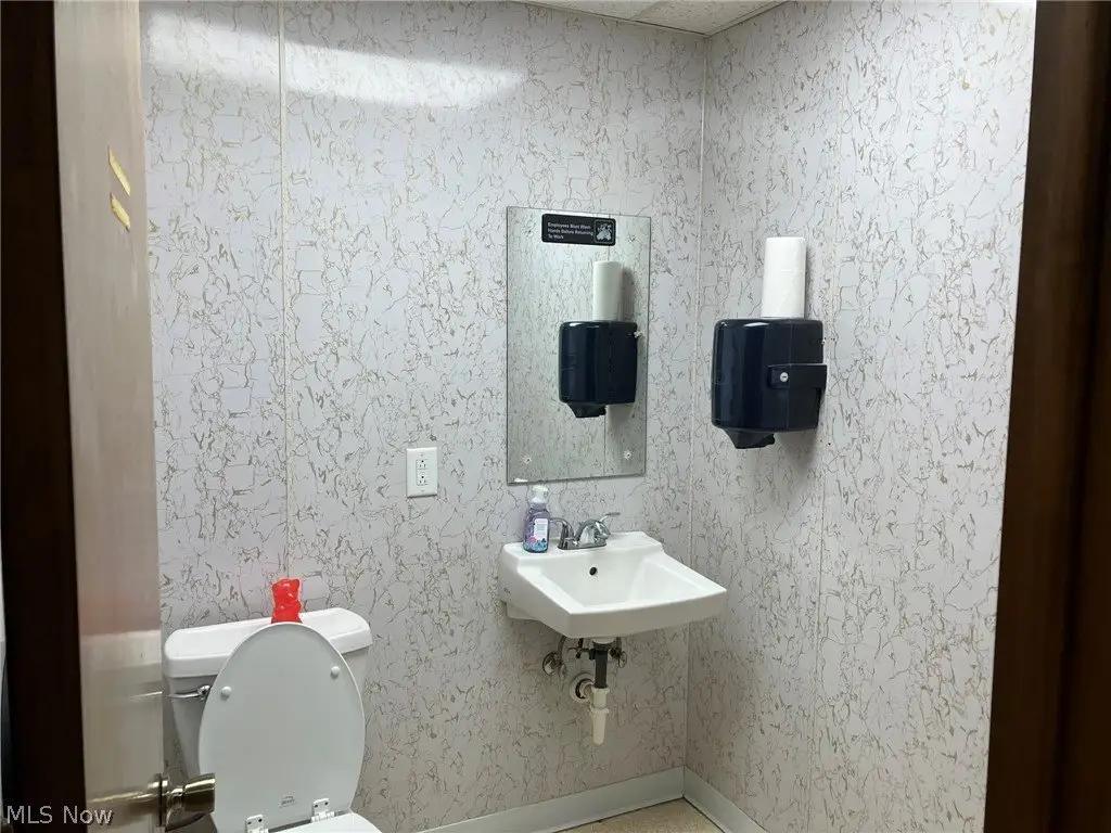Picture 12