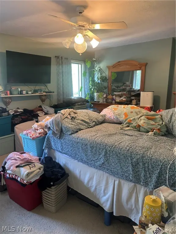 Picture 24