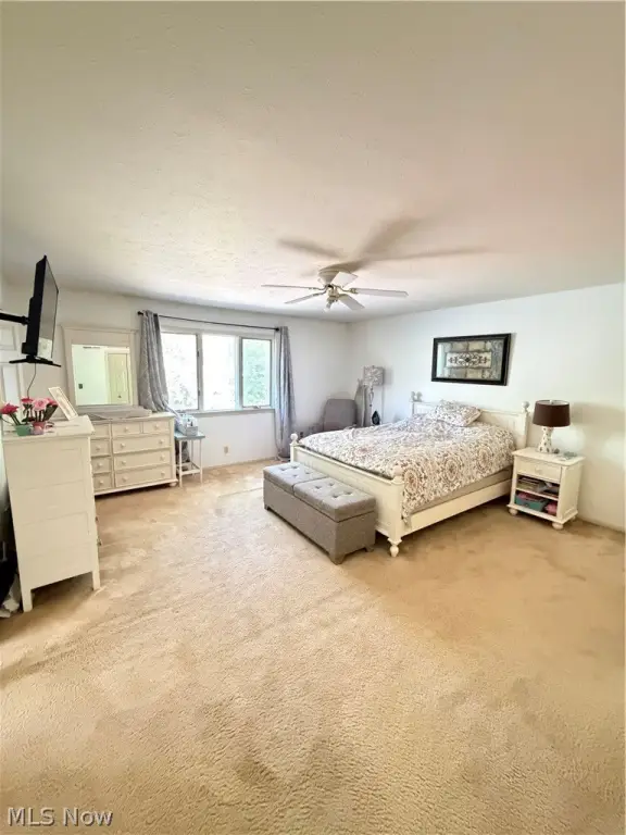 Picture 11
