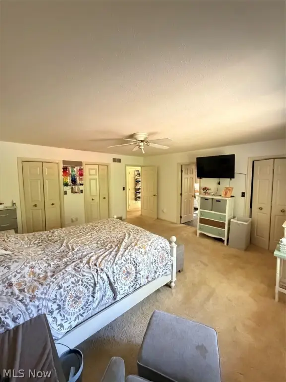 Picture 12