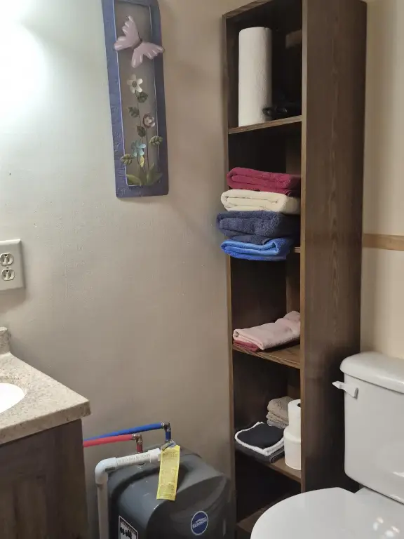 Picture 5