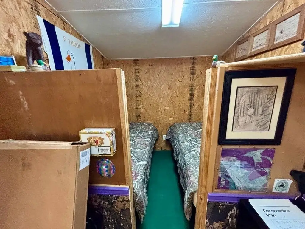 Picture 29