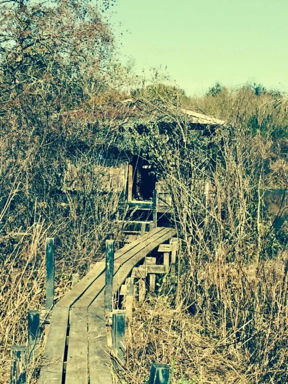 Picture 11