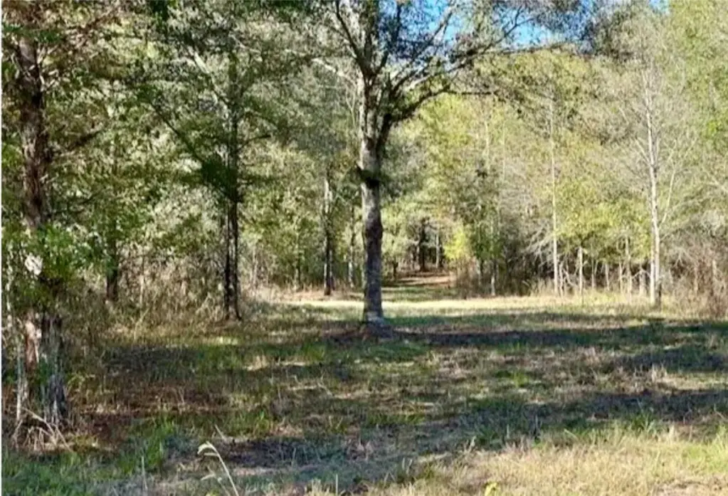 Picture 10