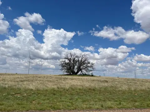 Snyder, TX Land Opportunity