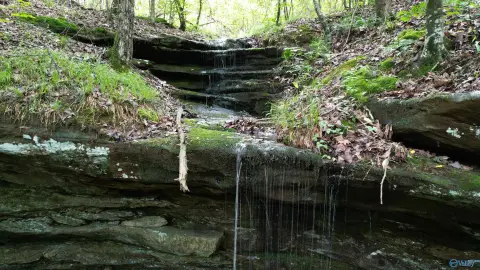Danville Acreage with Waterfall