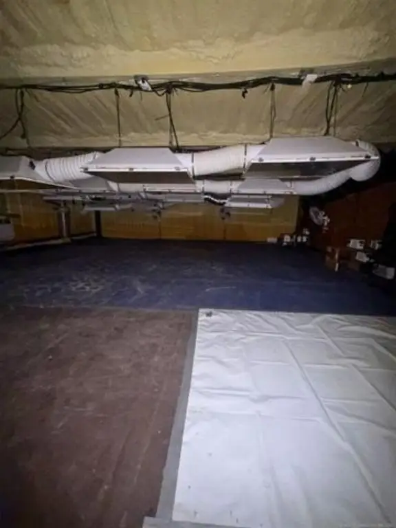 Picture 50