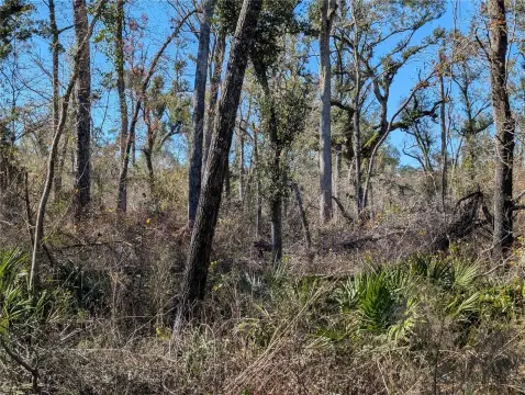 Wooded Lot with River Access