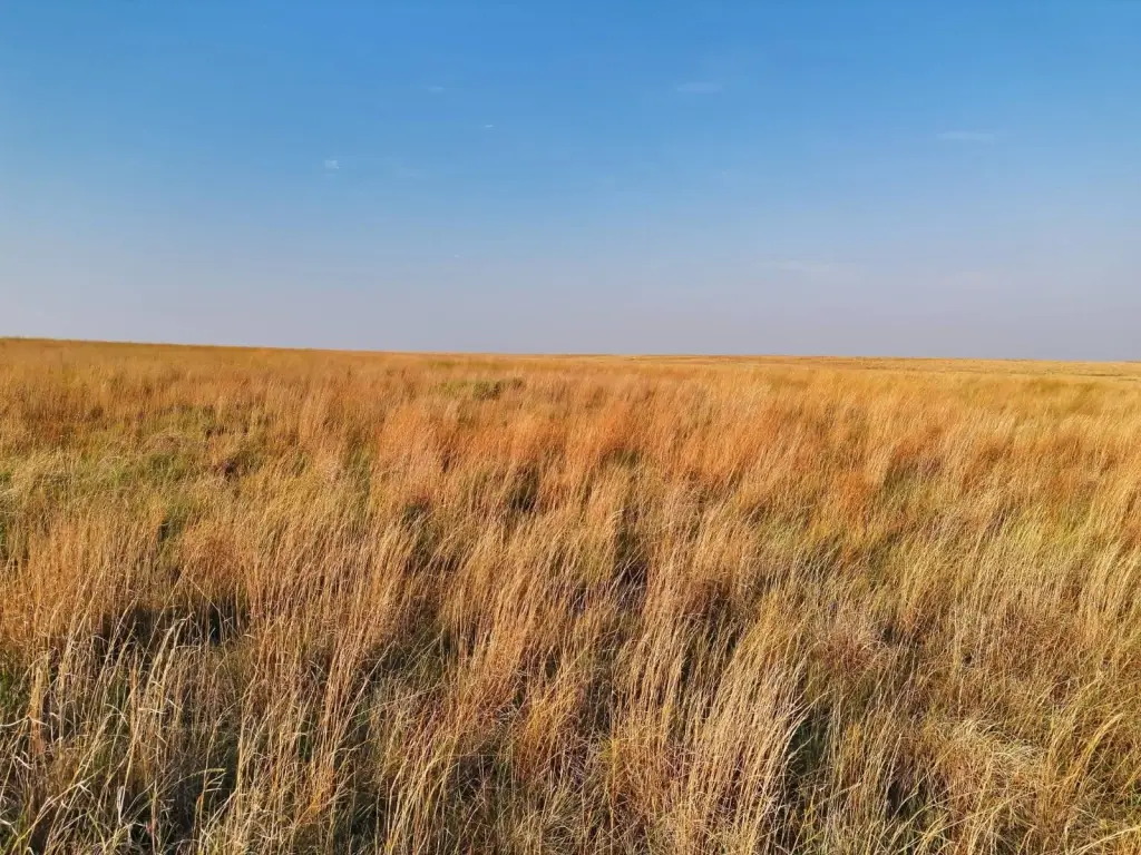 Picture 13