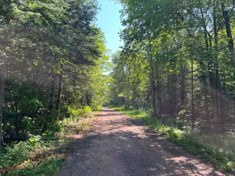 Recreation Land Near Forest Lands