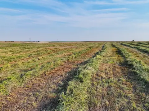 CRP Farmland Tract