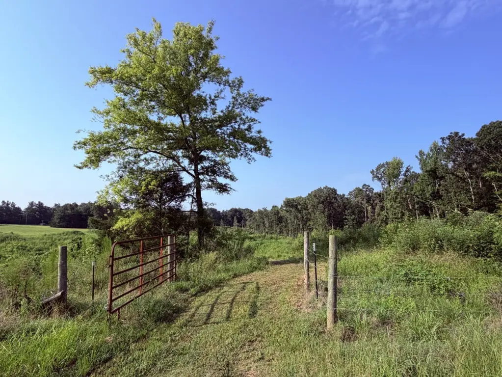 Picture 19