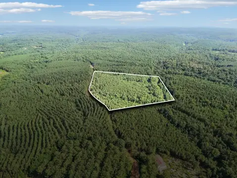 Hunting Land with Mature Timber