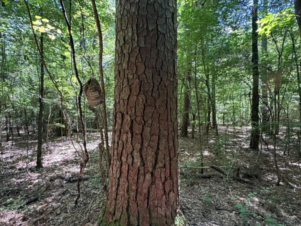 Picture 19