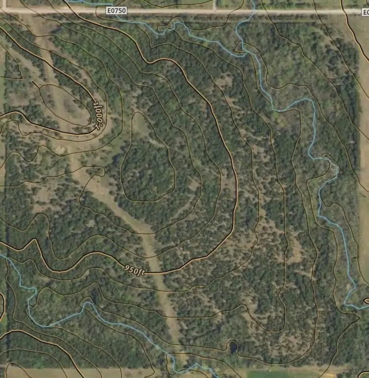 Picture 3