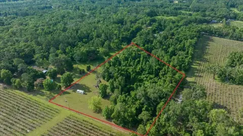 6.05 Acres in High Springs