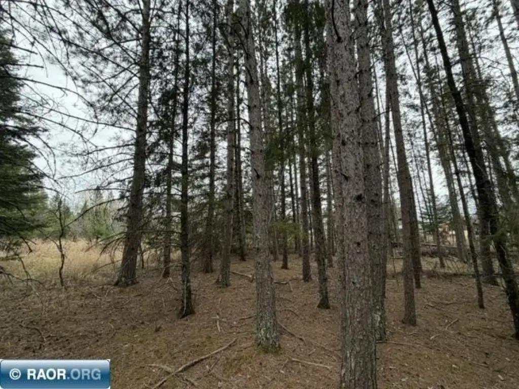 Picture 6