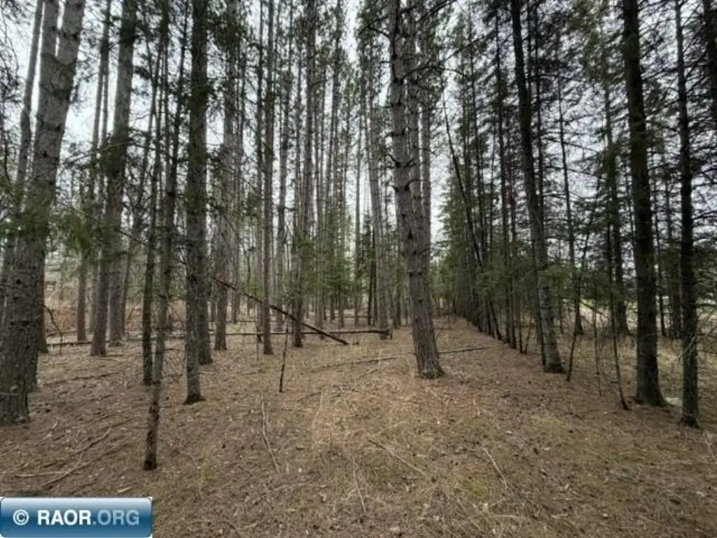 Picture 14