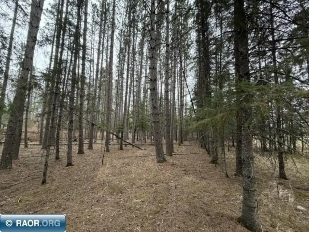 Picture 13