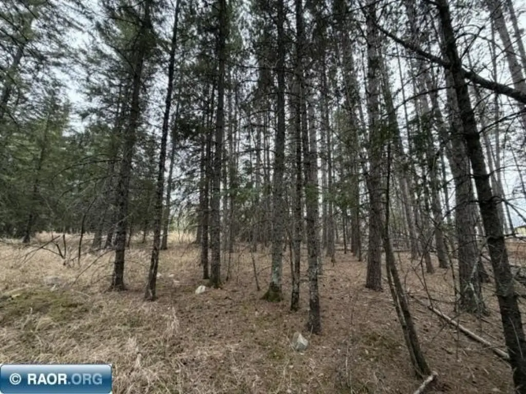 Picture 12