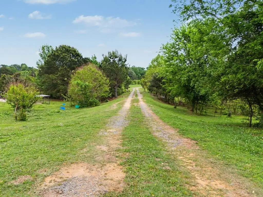 Picture 20