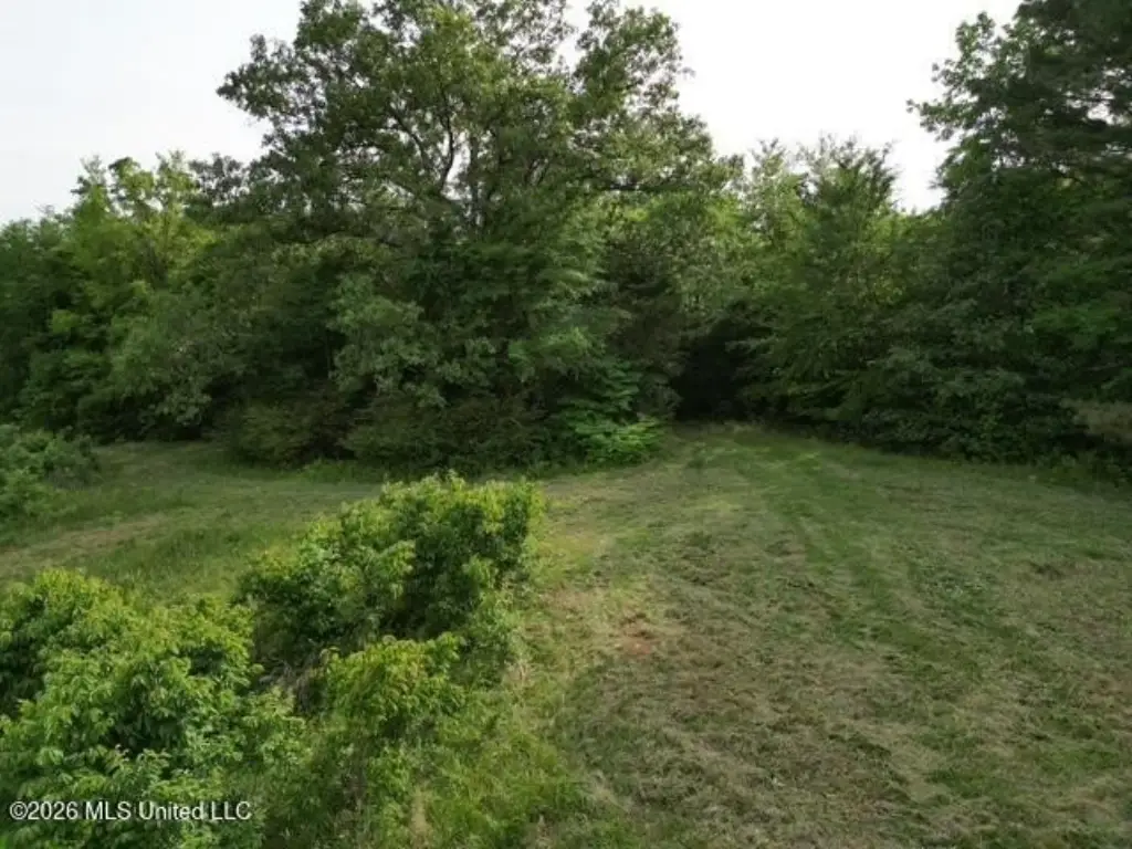 Picture 10