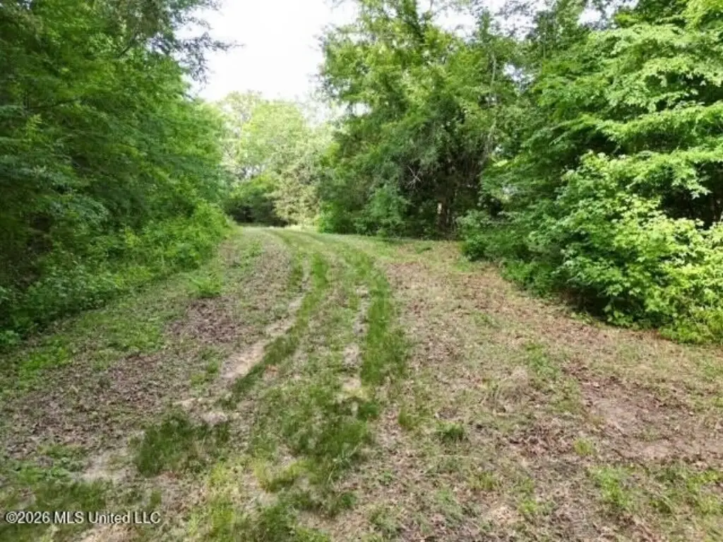 Picture 8