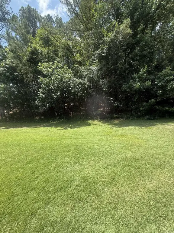 Picture 24