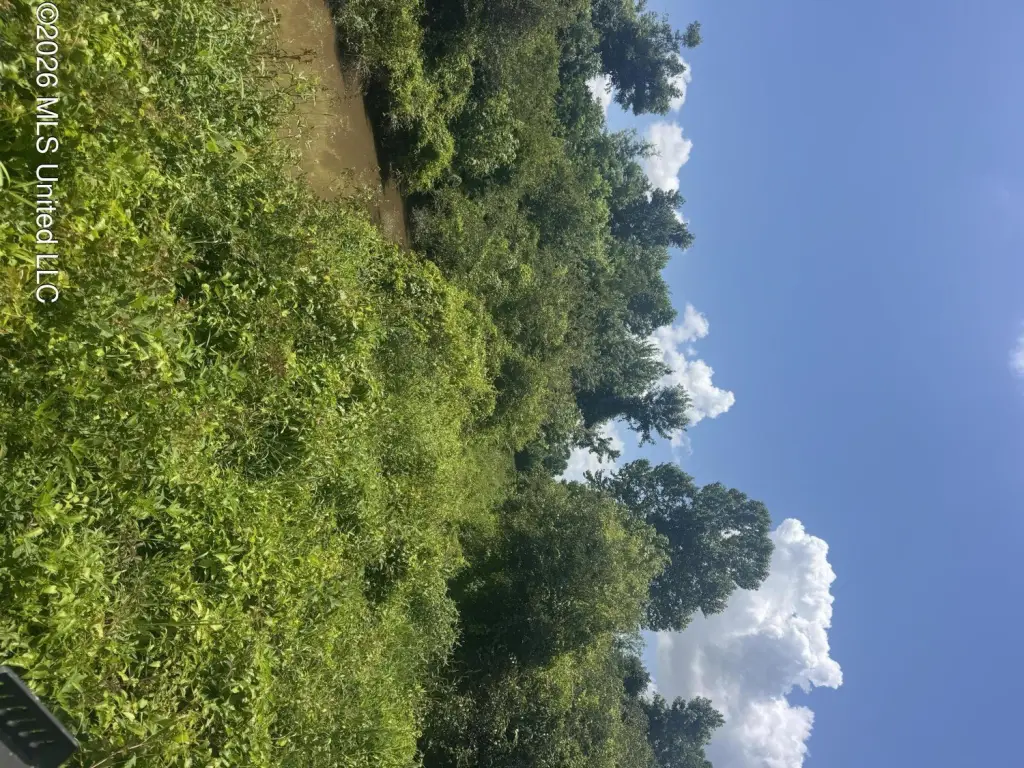 Picture 18