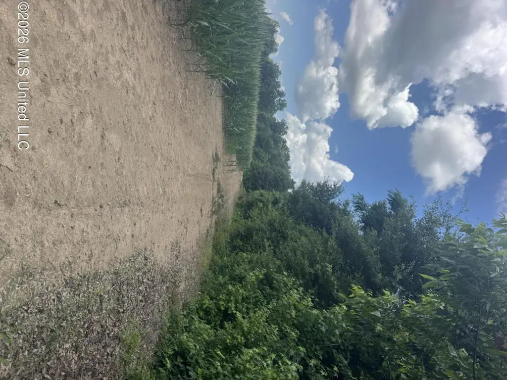 Picture 27