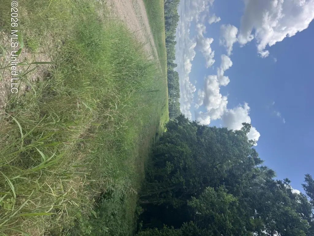 Picture 38
