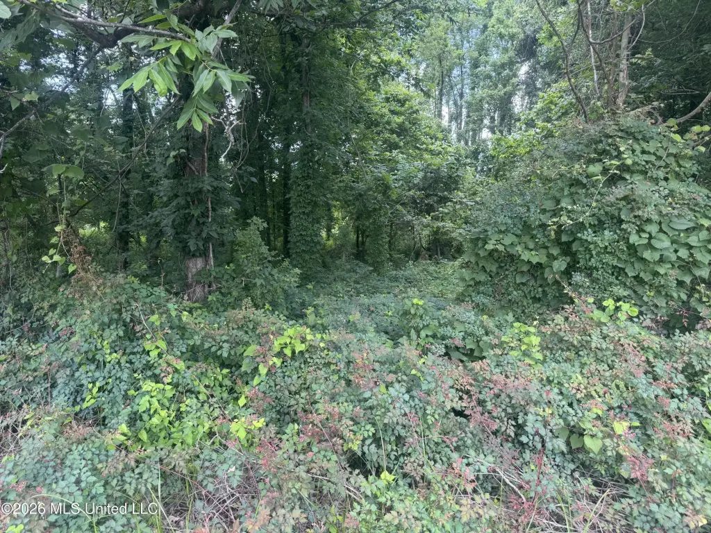 Picture 29