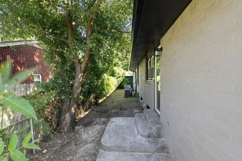 Picture 27