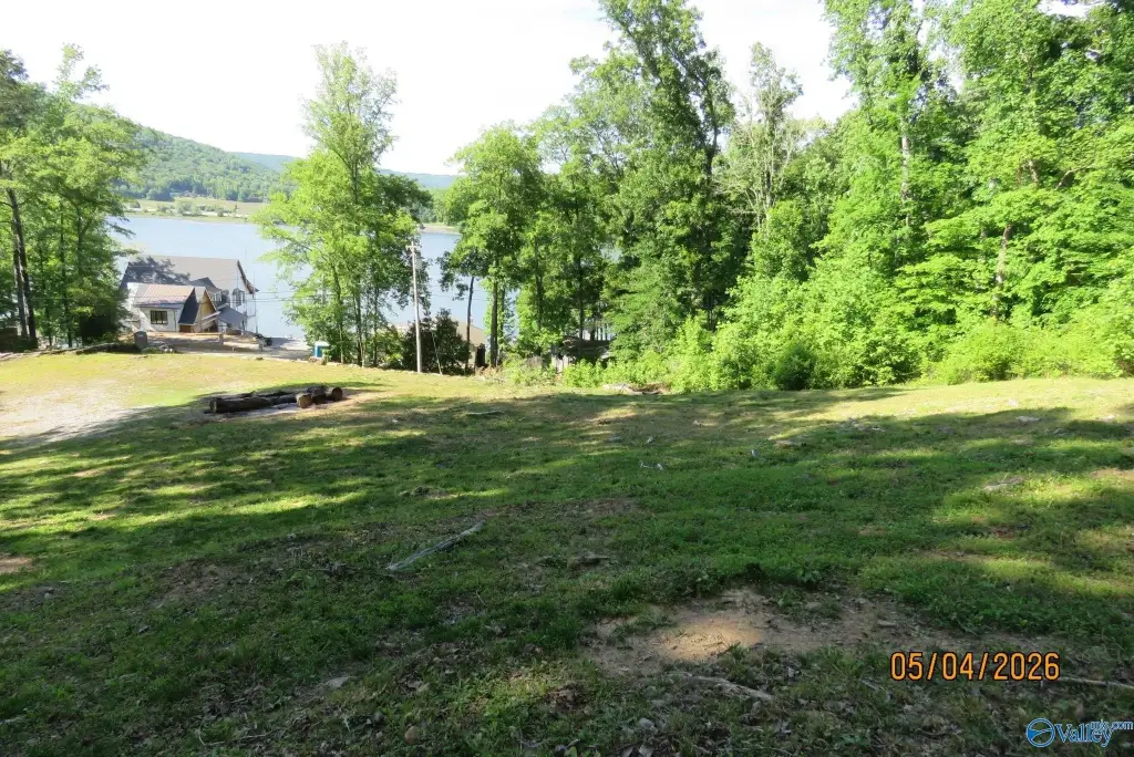 Picture 4