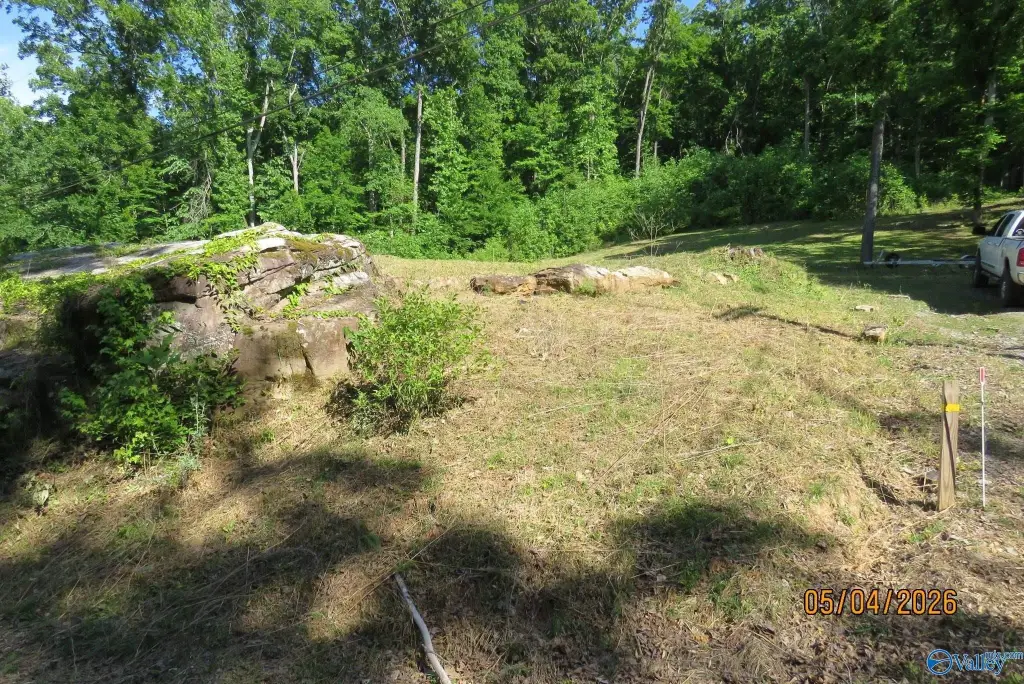 Picture 12