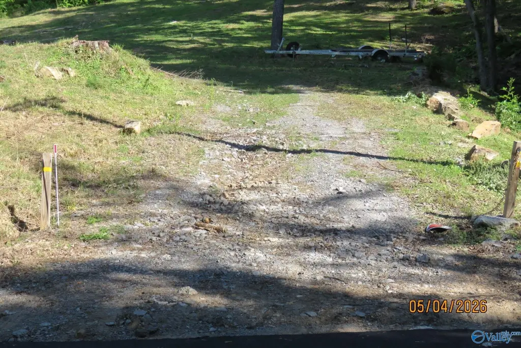 Picture 21