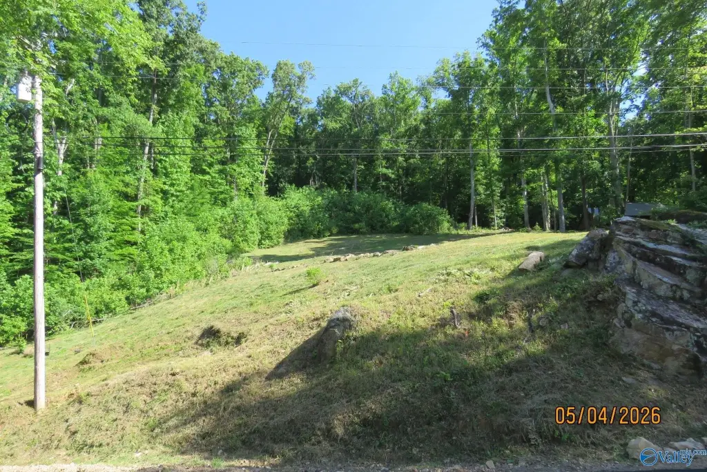 Picture 15