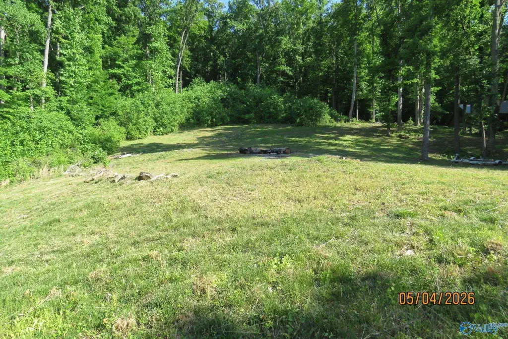 Picture 11
