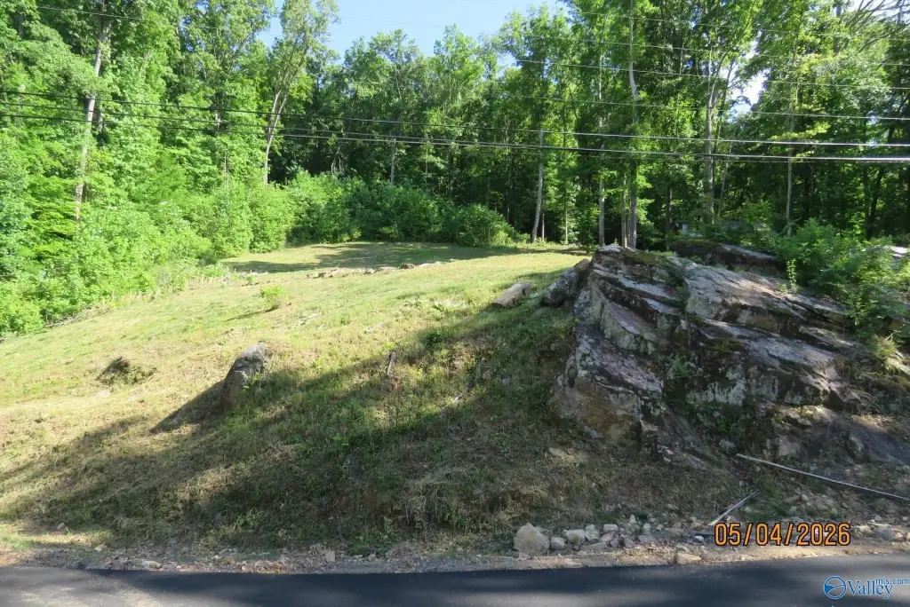 Picture 18