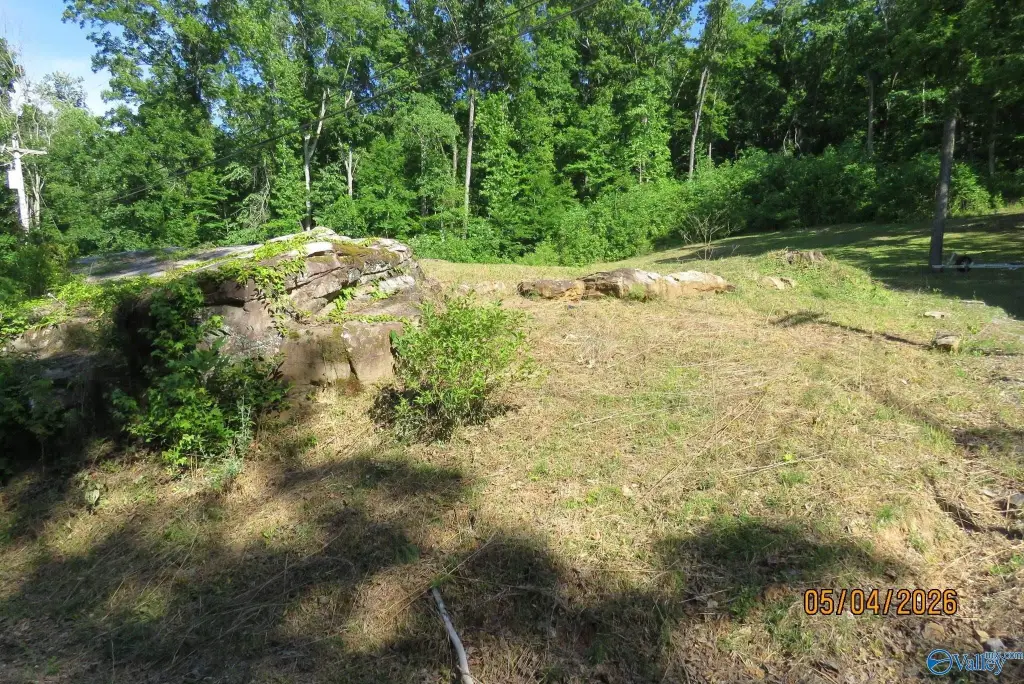 Picture 13