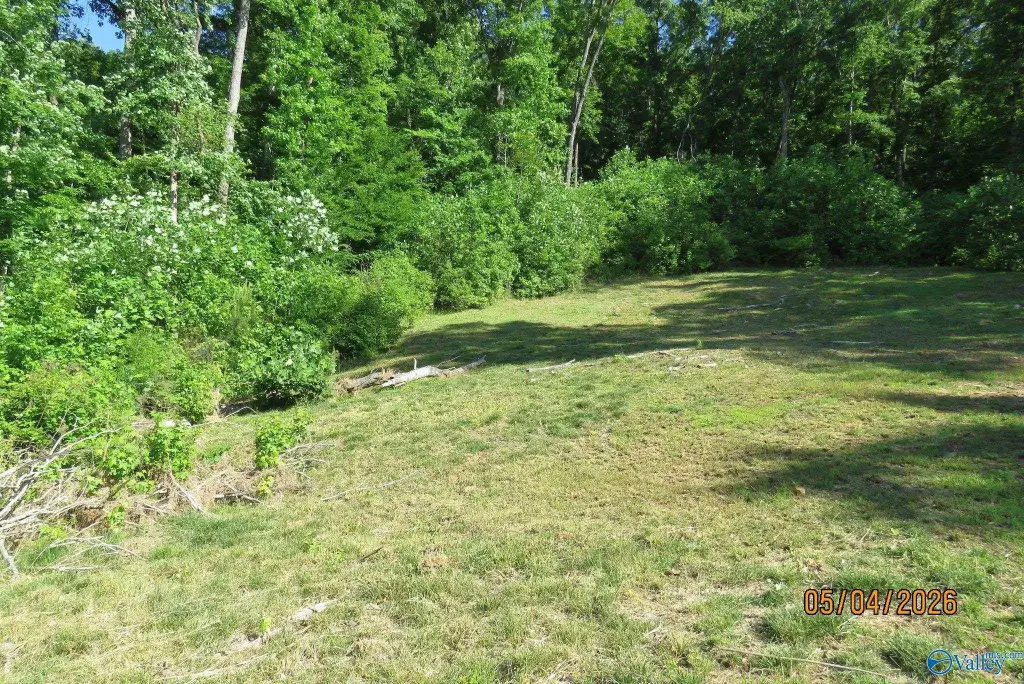 Picture 7