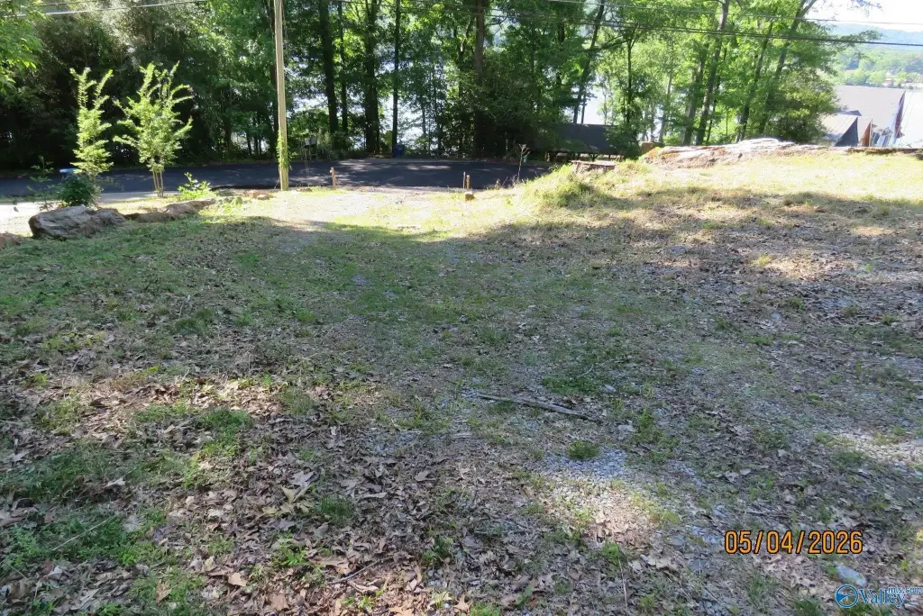 Picture 20