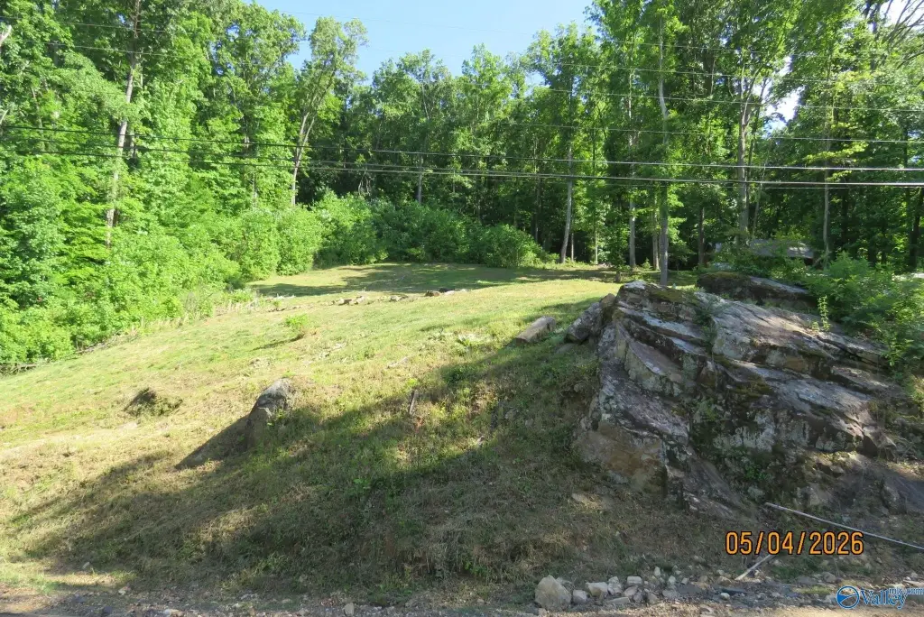 Picture 19