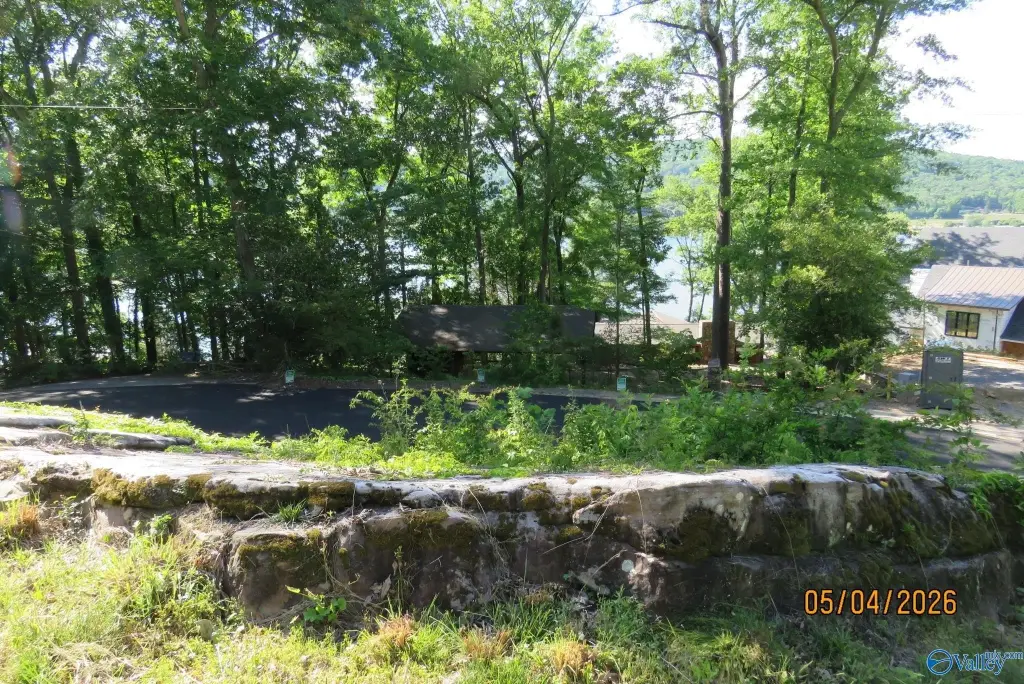 Picture 10