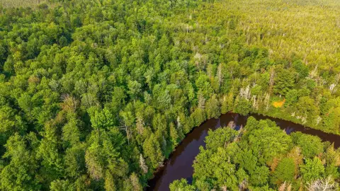 Waterfront Land with River Frontage