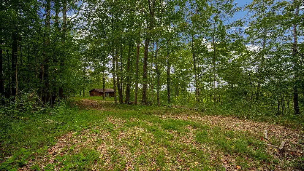Picture 19