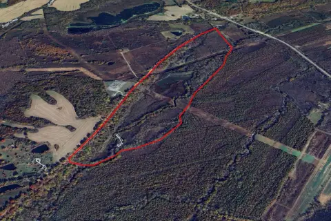 Premier Hunting Land in Renshaw, IL