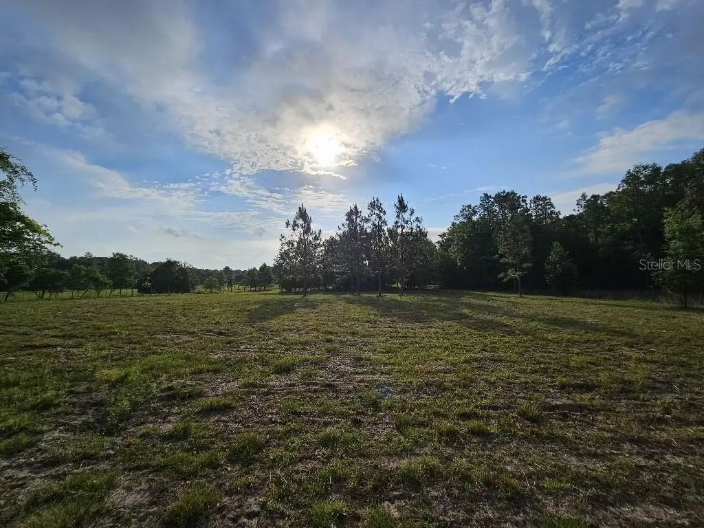 Picture 23