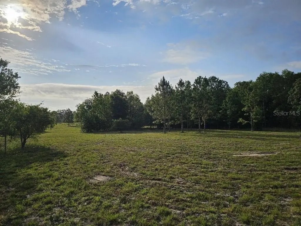 Picture 22