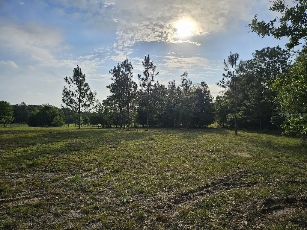Picture 26